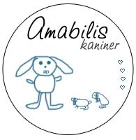 Amabilis kaniner